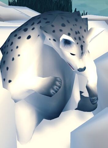 File:Balance Bear.jpg