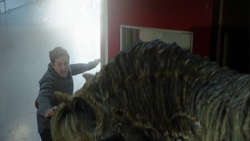 NW1x1 EvanRegardeBrookeMourir.png