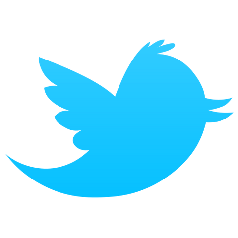 File:Twitter bird icon.png
