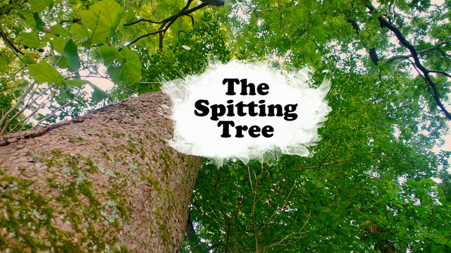 File:Spitting Tree title card.png
