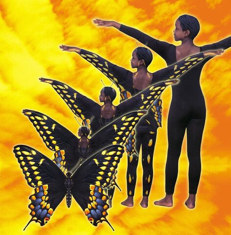 File:CassieToButterflyAnimorphs.jpeg