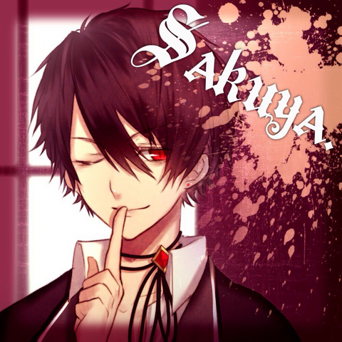 File:Sakuya main icon.png