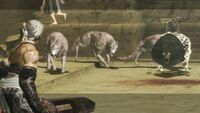 Desert Wolves