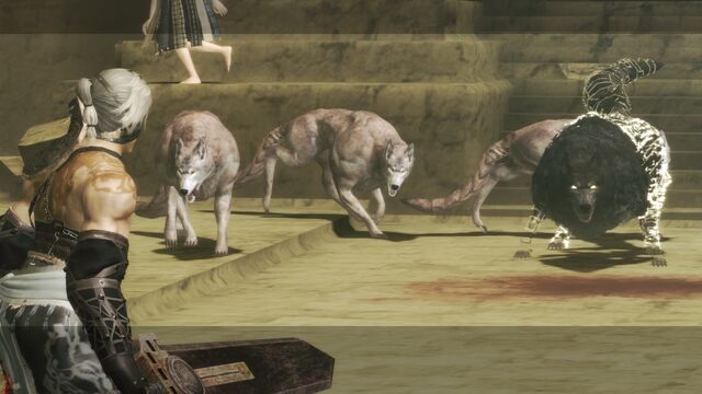 File:Desert Wolves.jpg