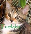 Thumbnail for version as of 02:36, December 24, 2012