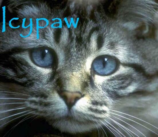 File:Icypaw.jpg