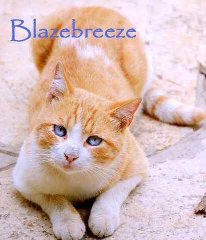 File:Blazebreeze.jpg