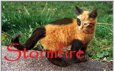 File:Stormfire.jpg