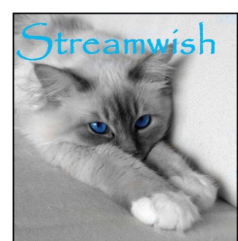 File:Streamwish.jpg
