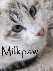 Milkpaw