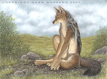 Samburu by darknatasha