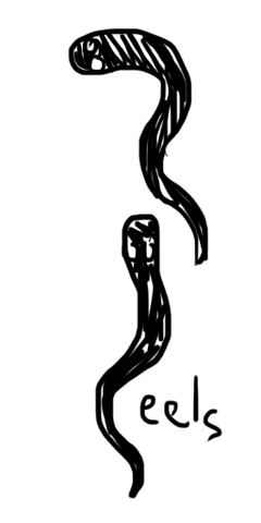 File:Doodle MomEels.png
