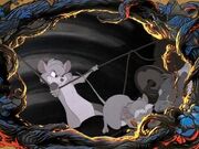 Jonathan-brisby
