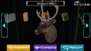 MountedDeer.DirectorsOffice