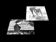 Woman dog 2