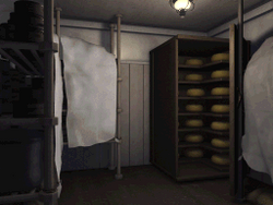 Kitchen 5