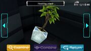 HealthyPlant.TreatmentCenter