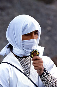 File:Hurricanger 331.jpg