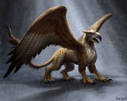 Griffon concept