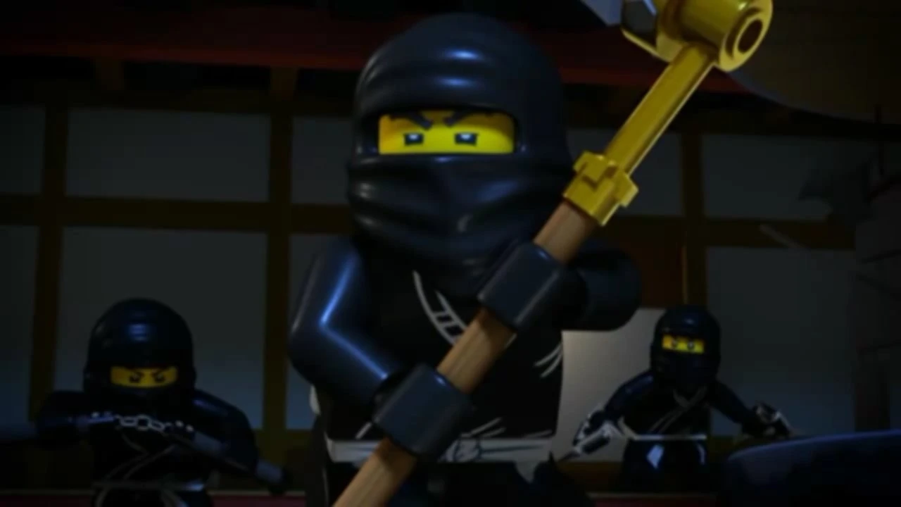 Types of Ninja Ninjago Wiki FANDOM powered by Wikia