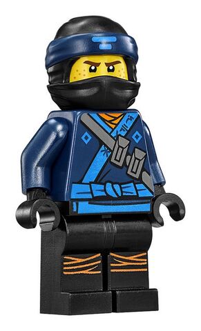 File:TLNMJay Fig2.jpeg