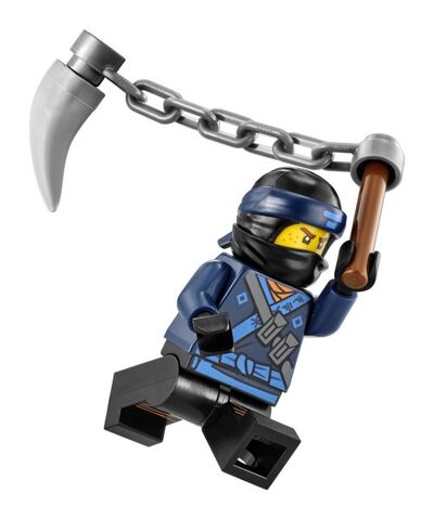 File:TLNMJay Fig.jpeg