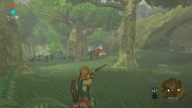 File:BotW Screen15.png