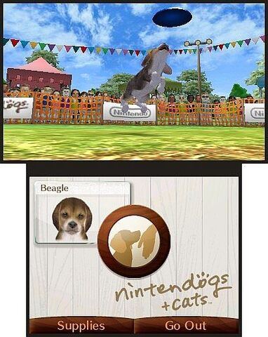 File:Dogs&Cats.jpg