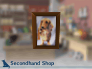 Dog photo