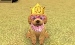 PixS 003