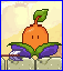 Open onion