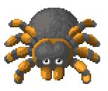 Spider Weak