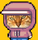 Justin Bennet cat