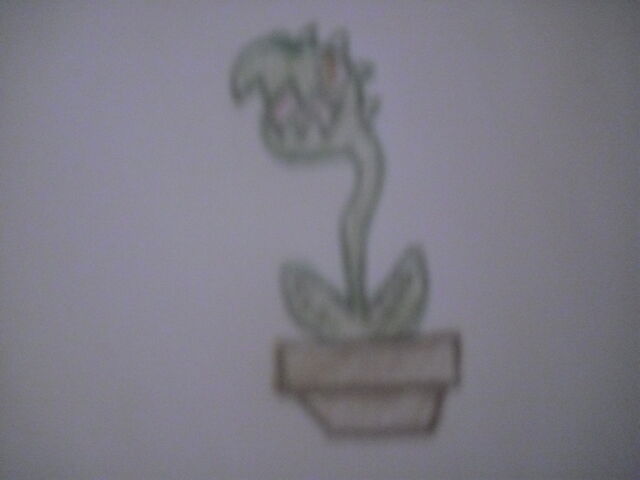 File:Allseeingplant.jpg