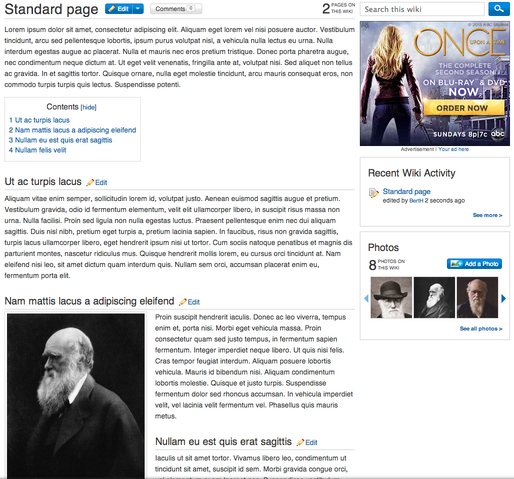 Bestand:StandardPageMin.png