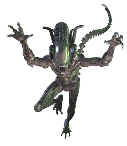 파일:Xenomorph.jpg