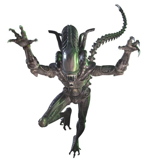 Xenomorph.jpg