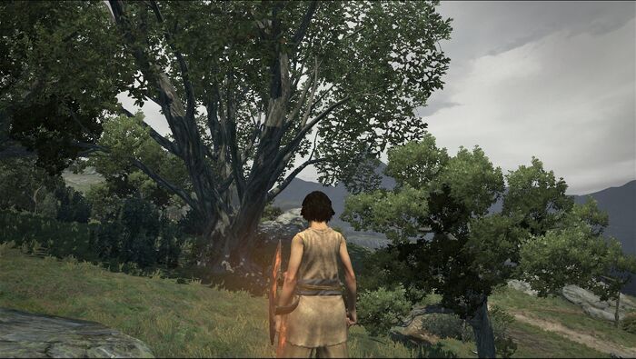 Dragon`s Dogma No Hud