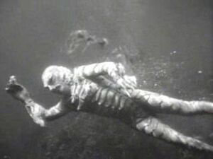 GillmanSwimming