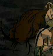 Catgator2
