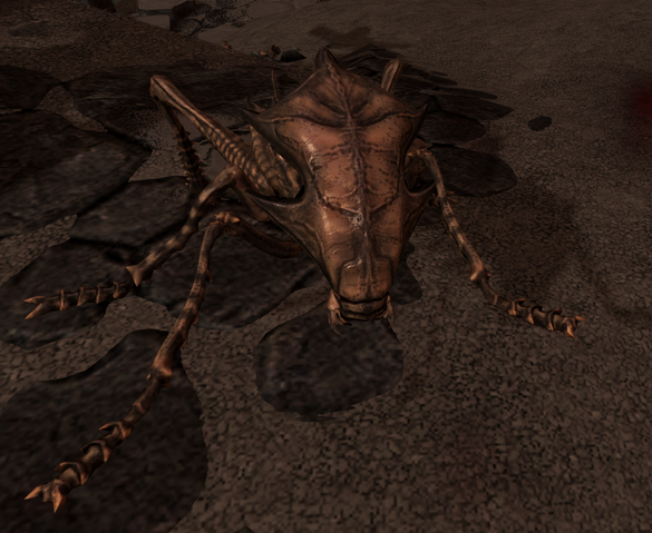 File:Ash Hopper.png