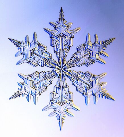 File:Snowflake.jpg