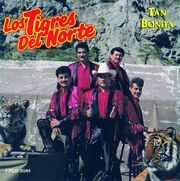 Tigres 92.jpg