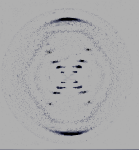 File:BformPureDNA.png