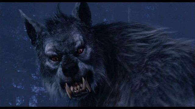 File:Werewolf.jpg