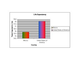 Life Expectancy Graph
