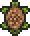 Turtle Shield
