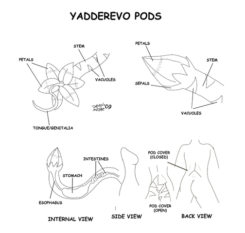 File:Pod anatomy.png