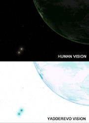 Yad vision