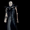 Pale master's arm
